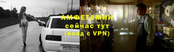гидра Богданович