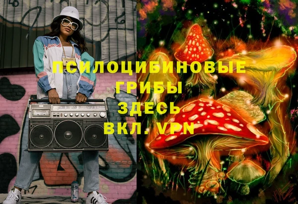 гидра Богданович