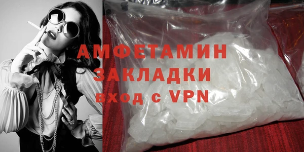 гидра Богданович