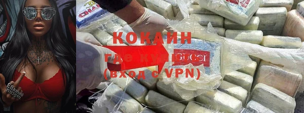 гидра Богданович
