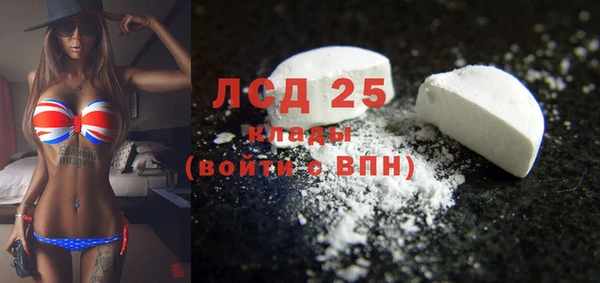 гидра Богданович