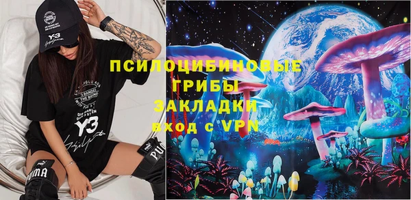 гидра Богданович