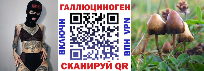 Галлюциногенные грибы GOLDEN TEACHER  Купить  Усинск 